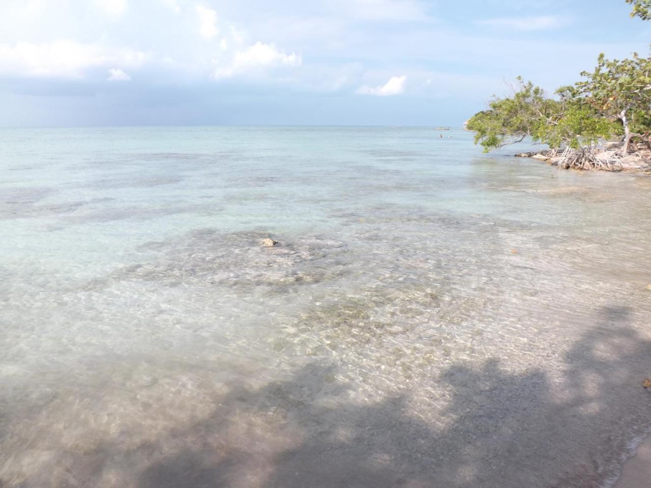 Отель Fernando'S Seaside Sarteneja Экстерьер фото